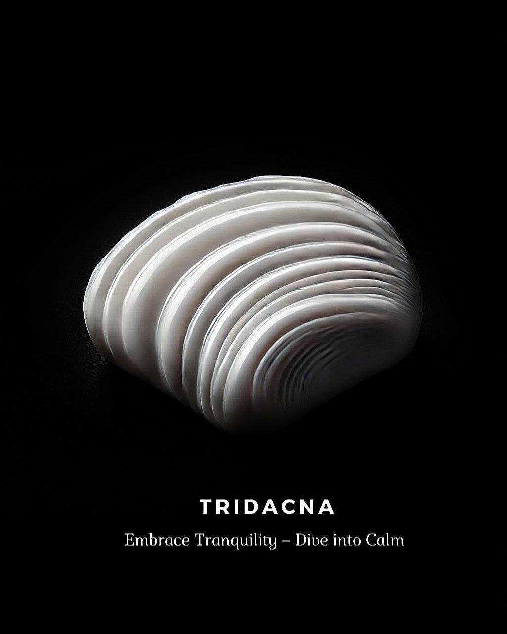 SILVER MAMBA BRACELET⬩ STRAIGHT LINE TEXTURE⬩ WHITE TRIDACNA THREE DOTS